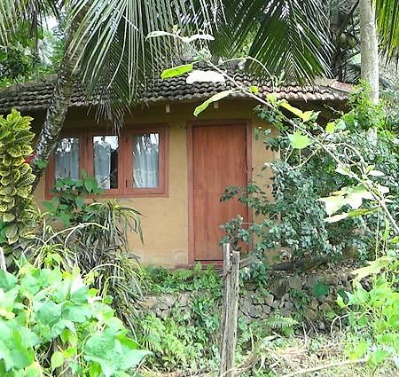 Rural Jungle Backpackers Hostel Deniyaya Exterior photo