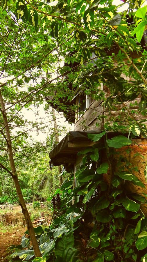 Rural Jungle Backpackers Hostel Deniyaya Exterior photo
