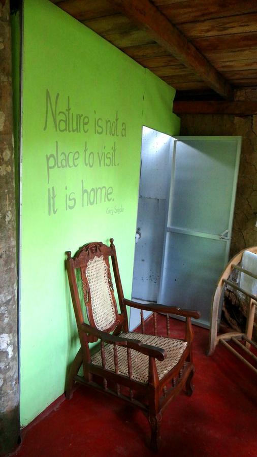Rural Jungle Backpackers Hostel Deniyaya Exterior photo