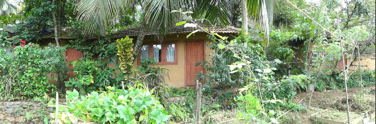 Rural Jungle Backpackers Hostel Deniyaya Exterior photo