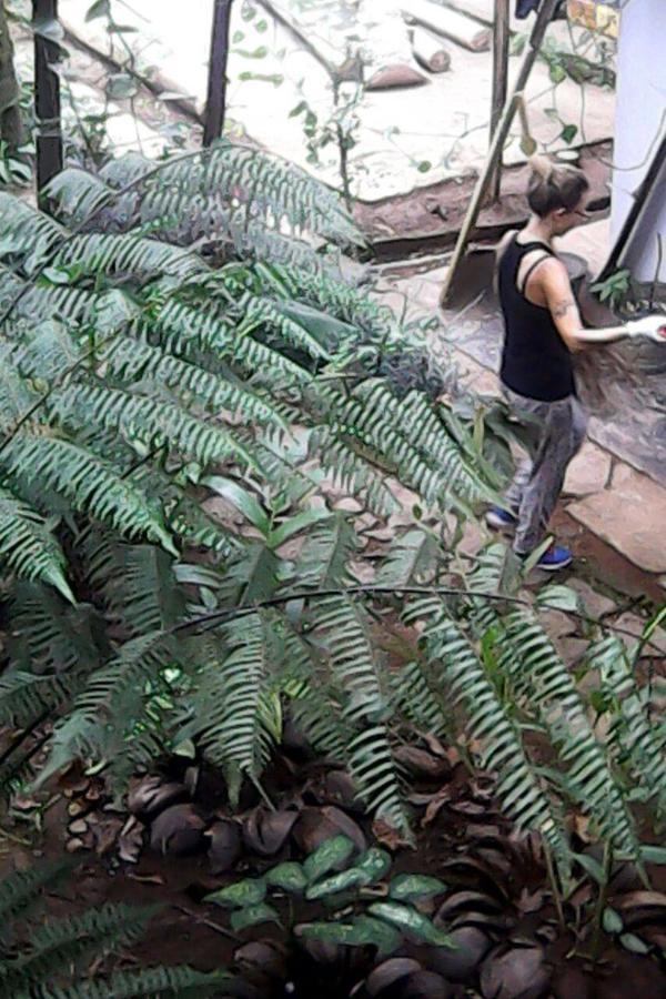 Rural Jungle Backpackers Hostel Deniyaya Exterior photo