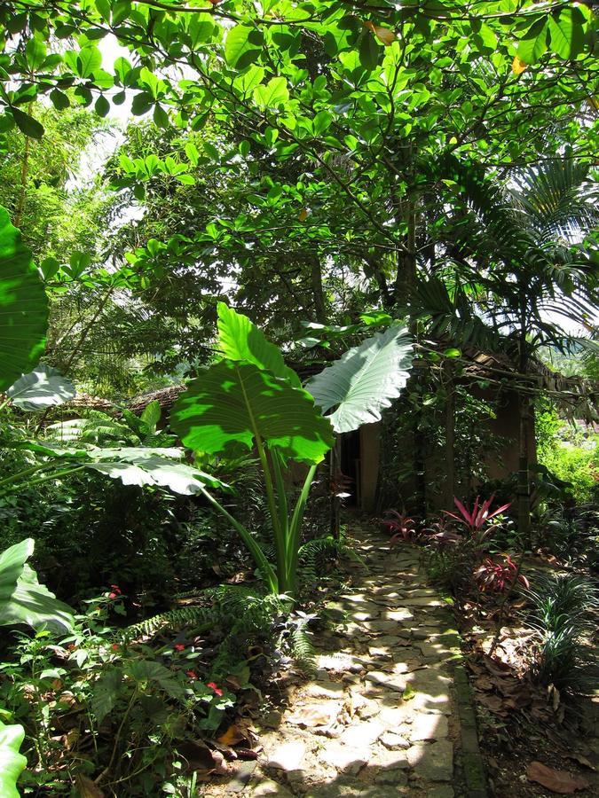 Rural Jungle Backpackers Hostel Deniyaya Exterior photo